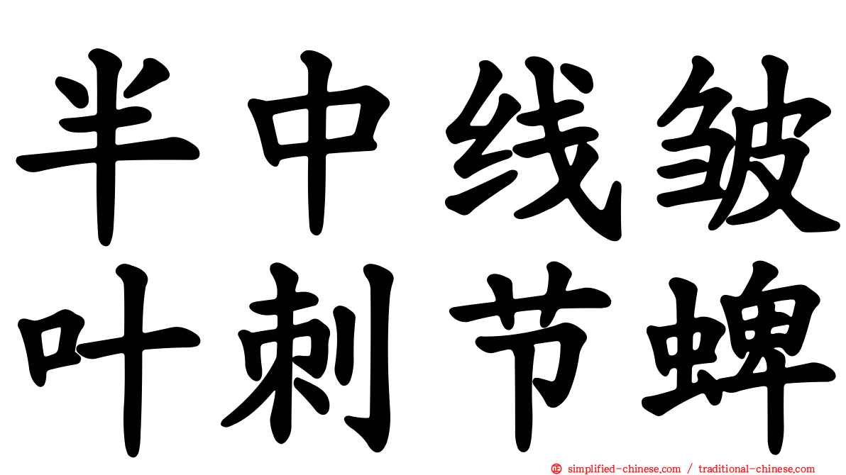 半中线皱叶刺节蜱