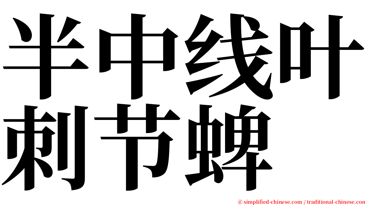半中线叶刺节蜱 serif font