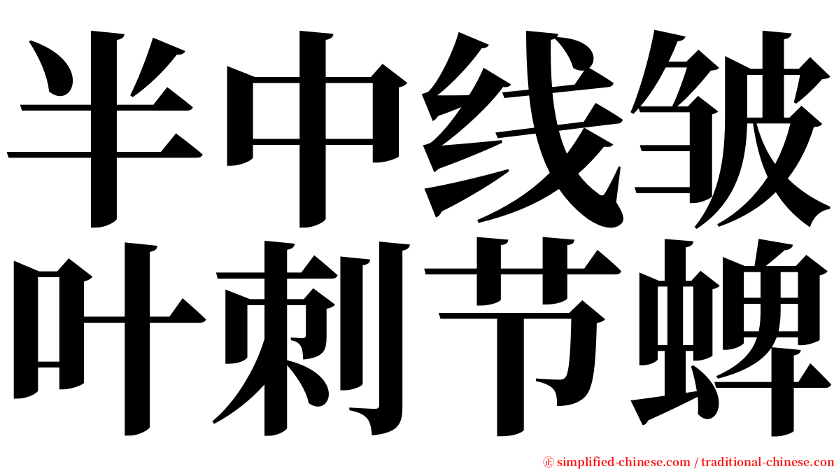 半中线皱叶刺节蜱 serif font