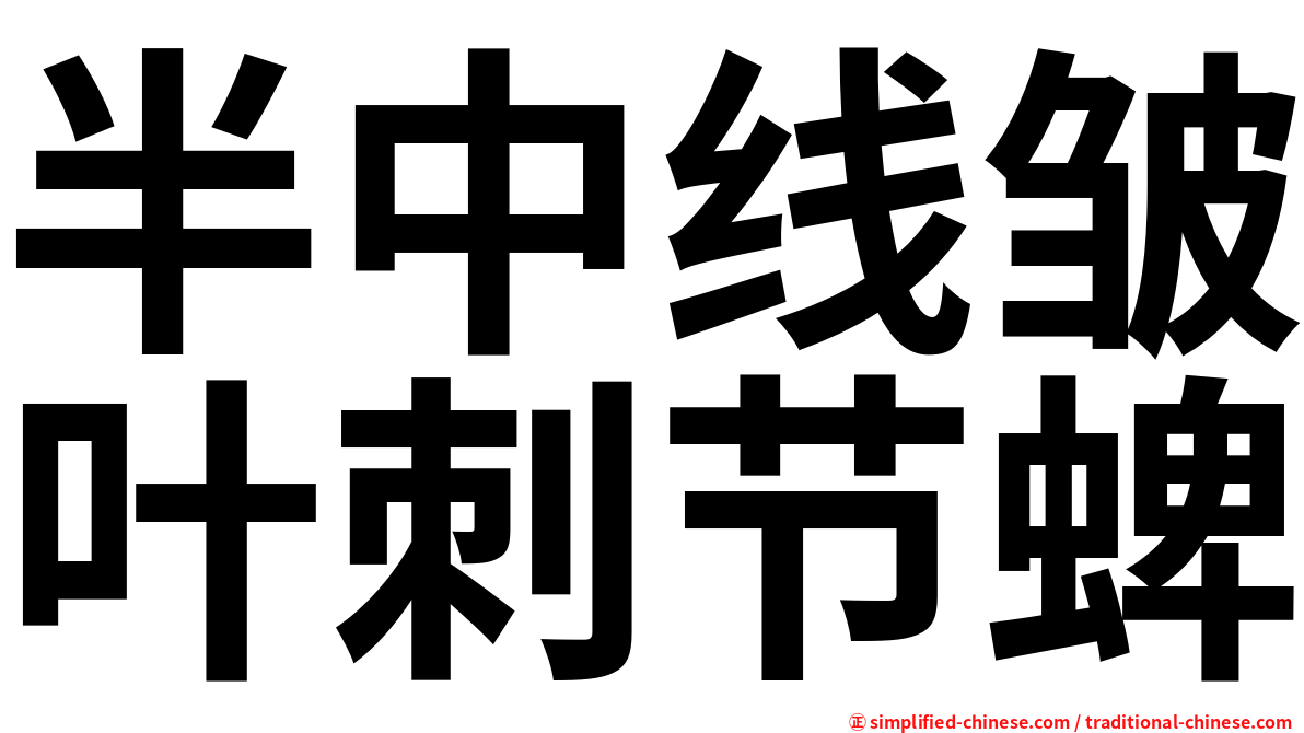 半中线皱叶刺节蜱