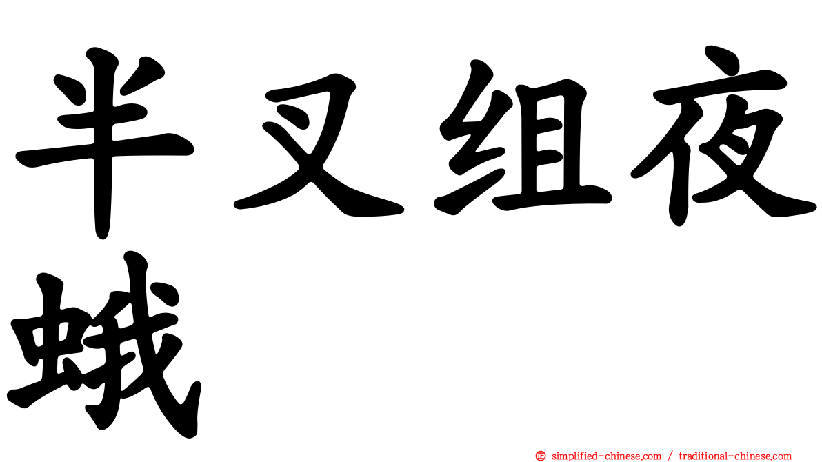 半叉组夜蛾