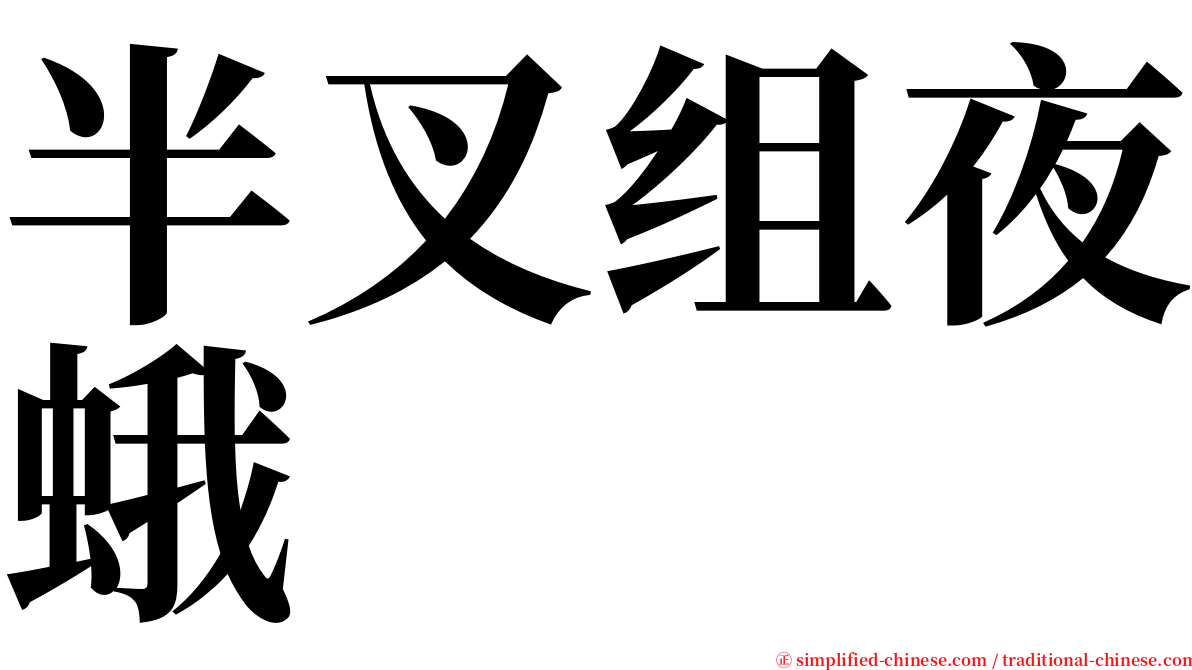 半叉组夜蛾 serif font