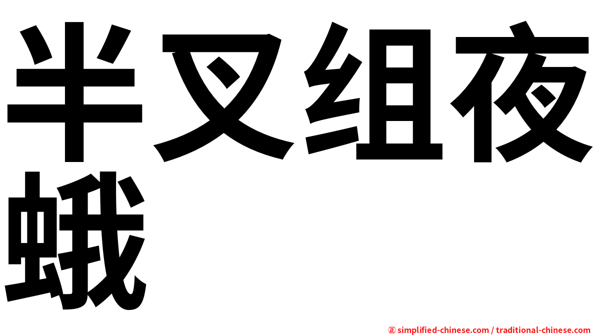 半叉组夜蛾