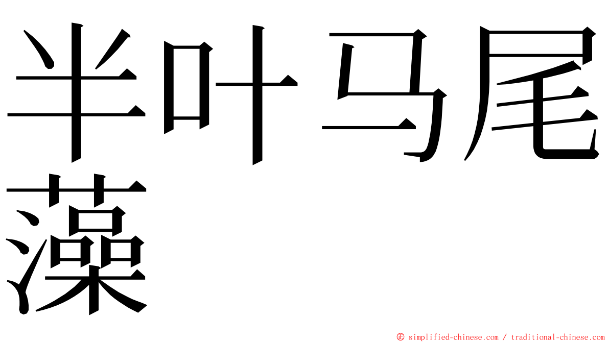 半叶马尾藻 ming font