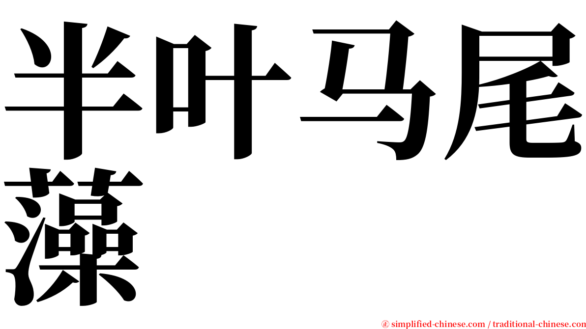 半叶马尾藻 serif font