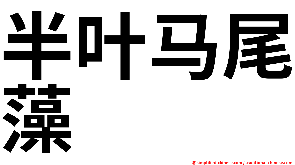半叶马尾藻