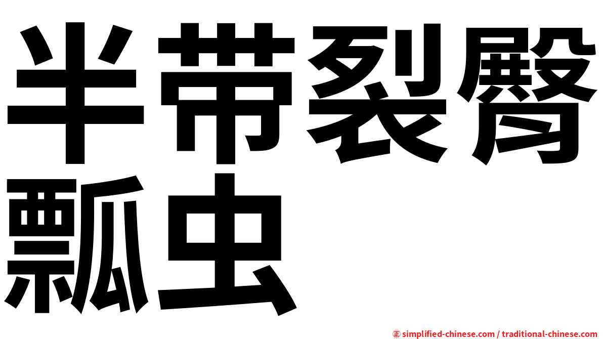 半带裂臀瓢虫