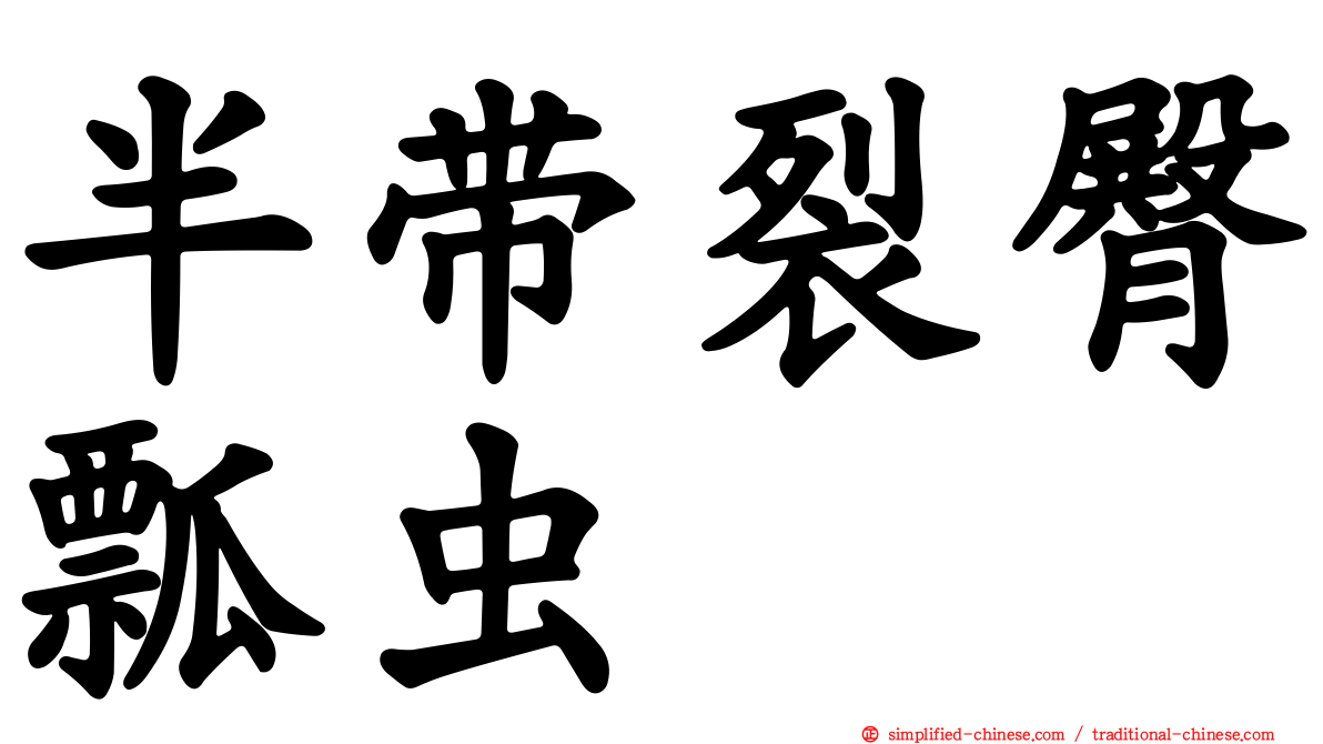 半带裂臀瓢虫