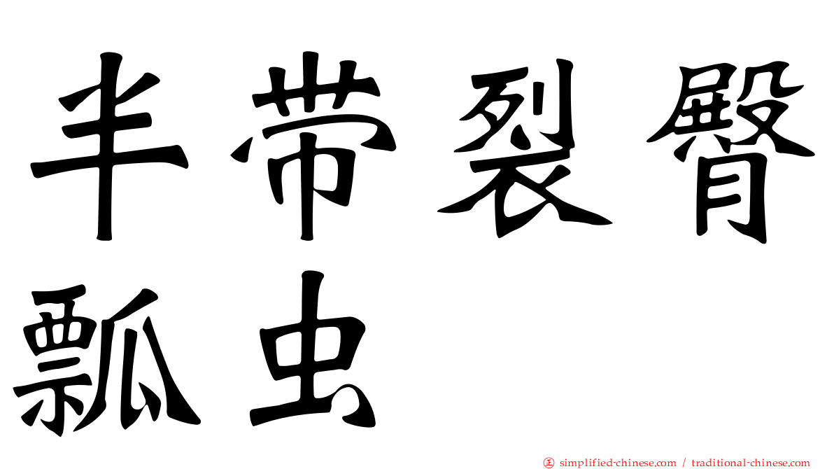 半带裂臀瓢虫