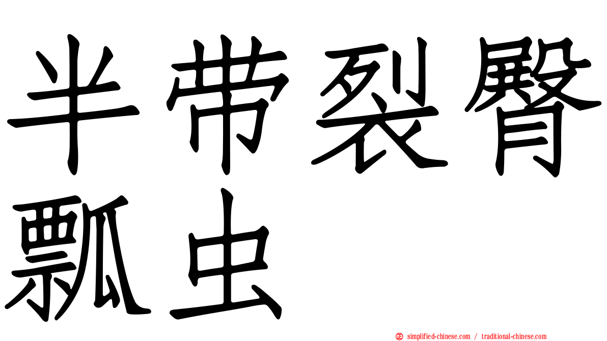半带裂臀瓢虫