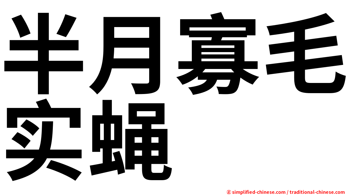 半月寡毛实蝇