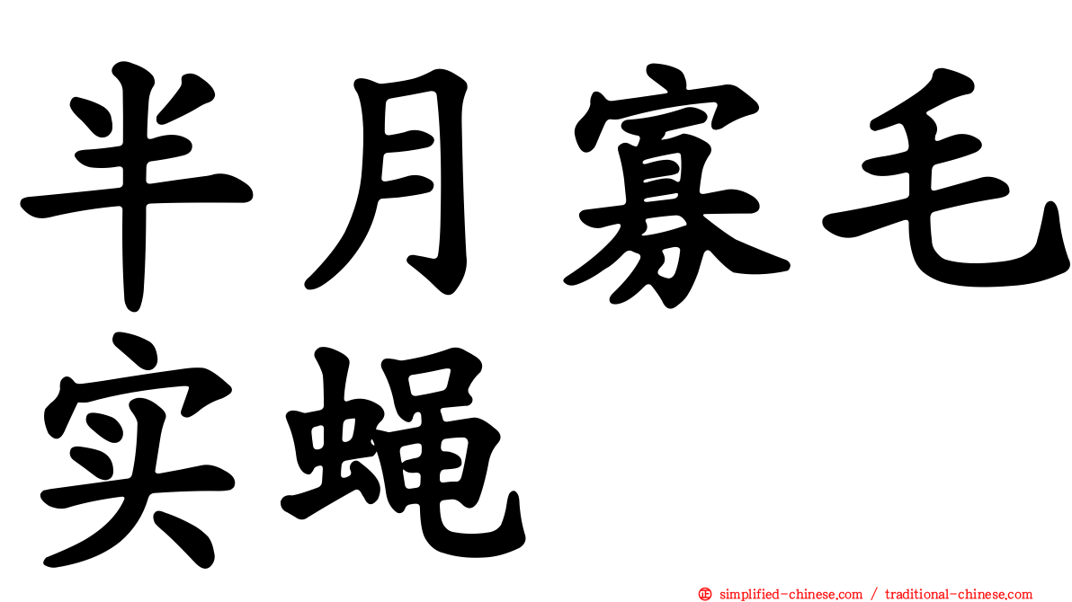 半月寡毛实蝇