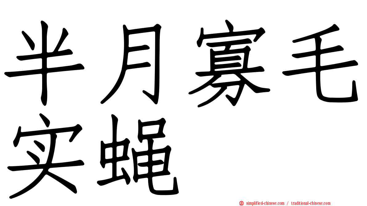 半月寡毛实蝇