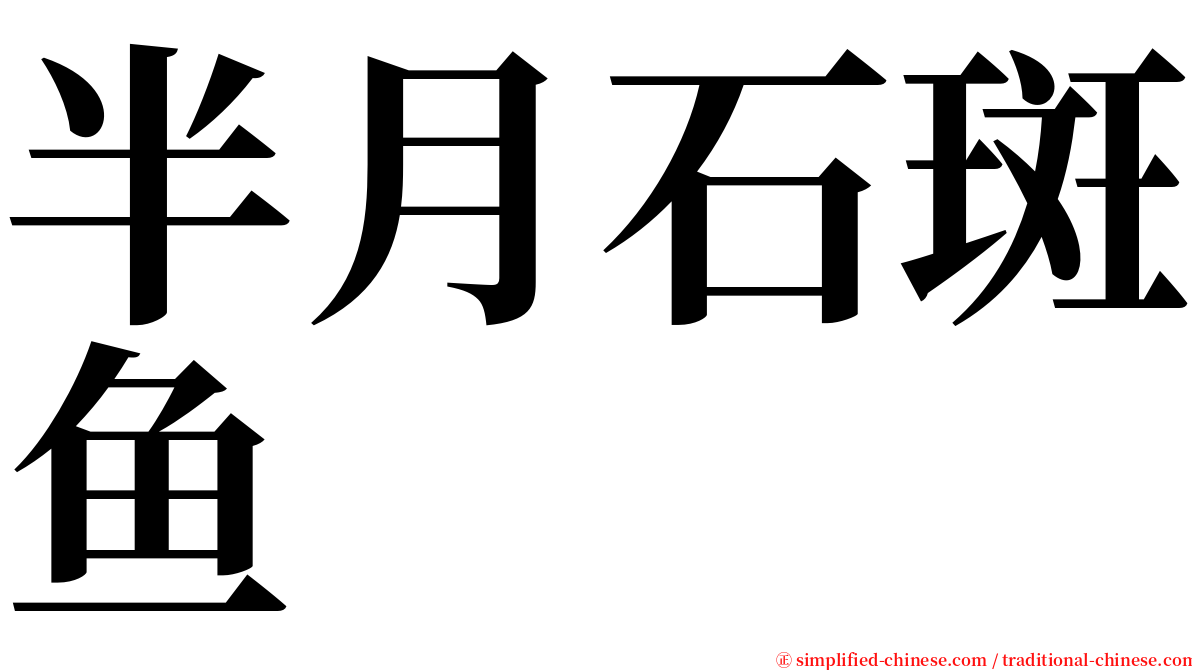 半月石斑鱼 serif font