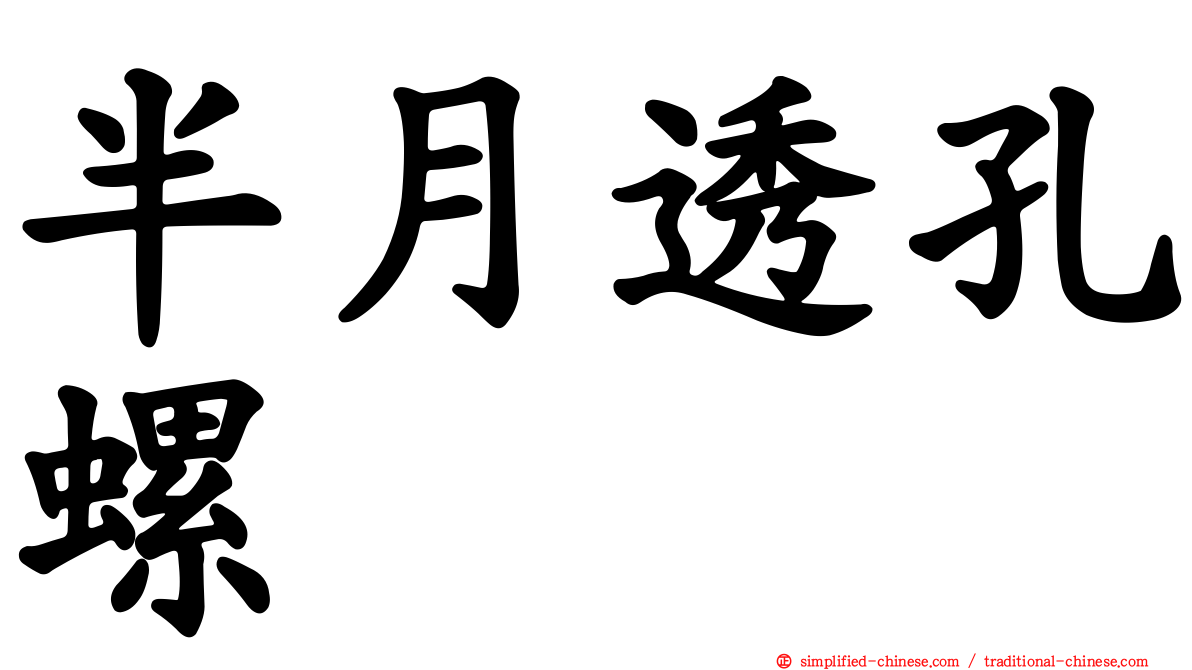 半月透孔螺