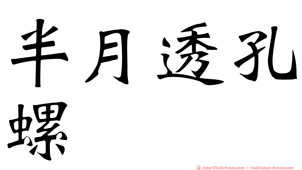 半月透孔螺