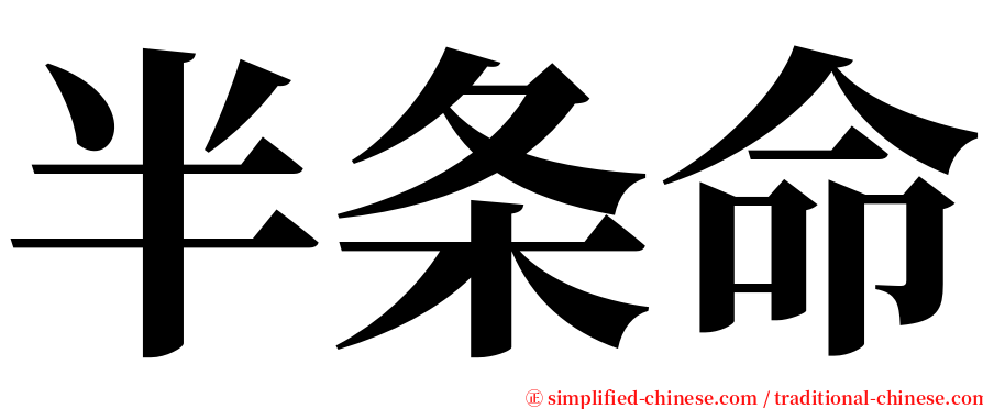 半条命 serif font