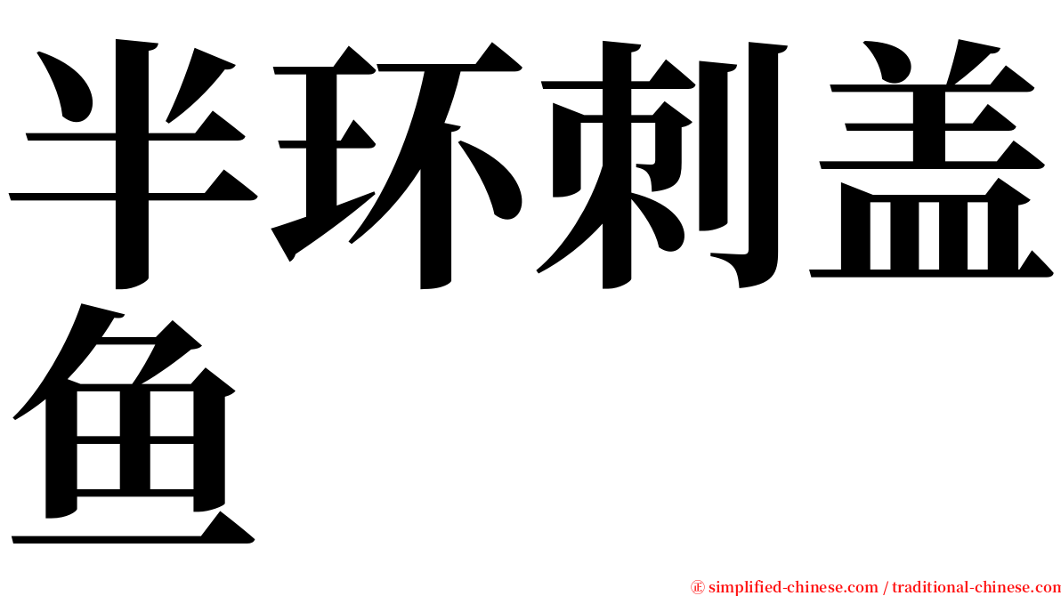 半环刺盖鱼 serif font