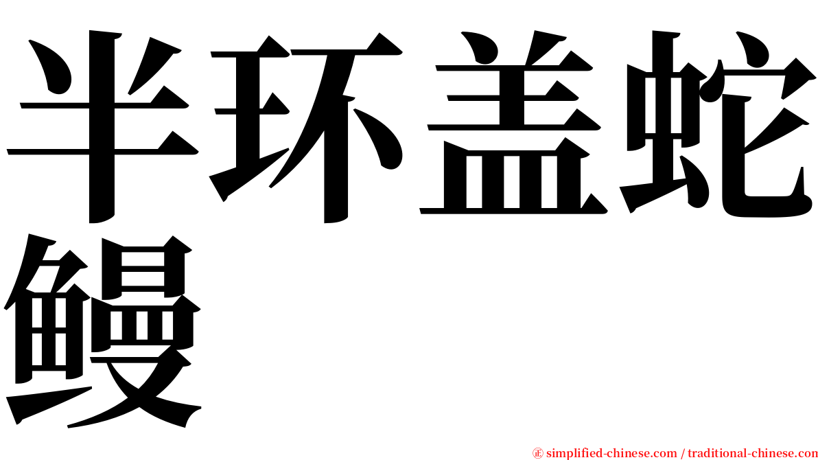 半环盖蛇鳗 serif font