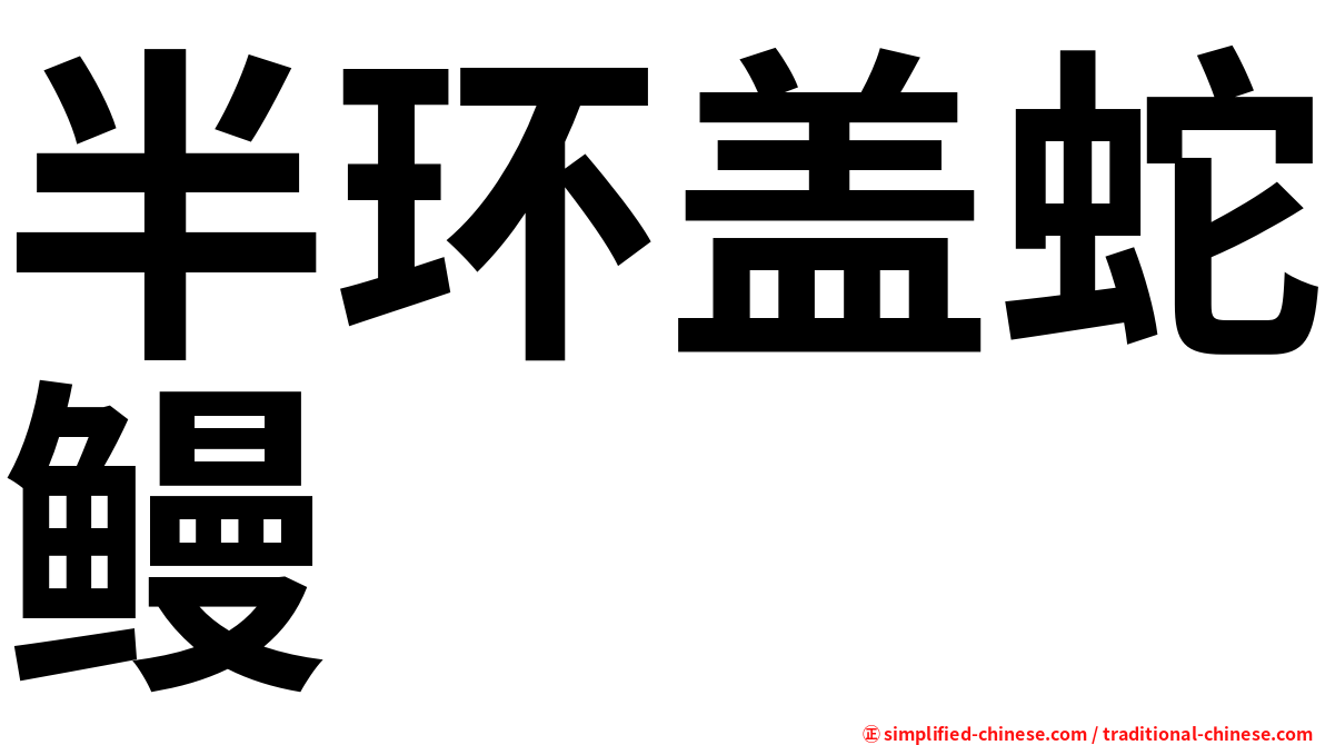 半环盖蛇鳗