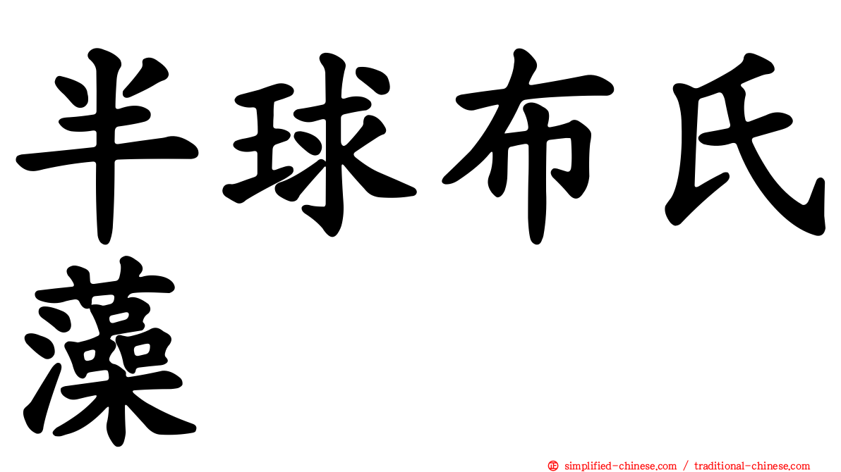 半球布氏藻