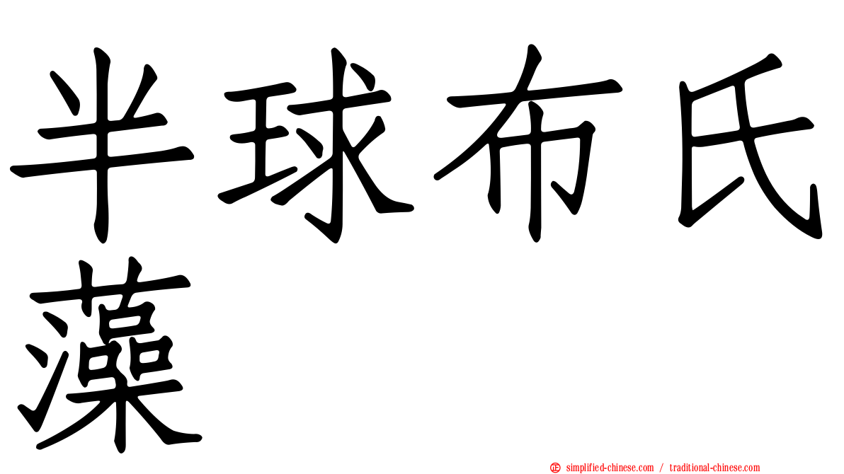 半球布氏藻