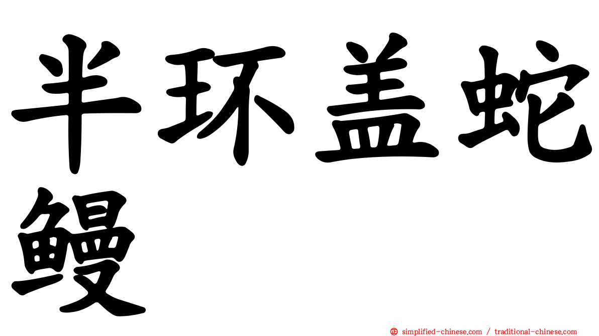 半环盖蛇鳗