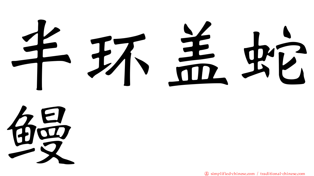 半环盖蛇鳗