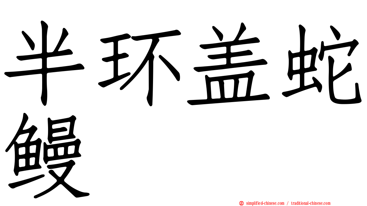 半环盖蛇鳗
