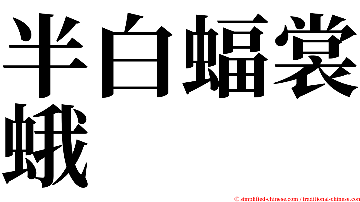 半白蝠裳蛾 serif font