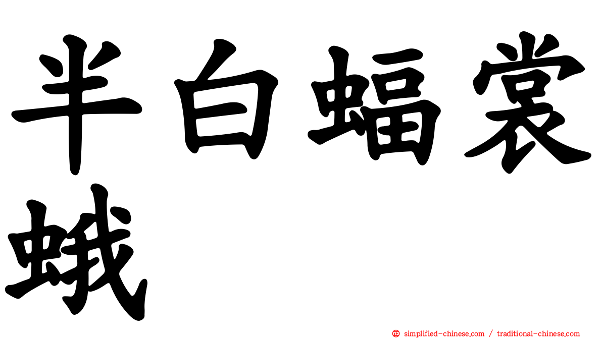 半白蝠裳蛾
