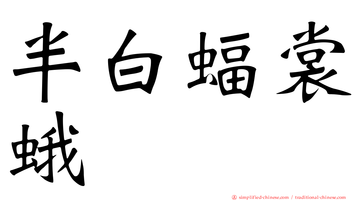半白蝠裳蛾