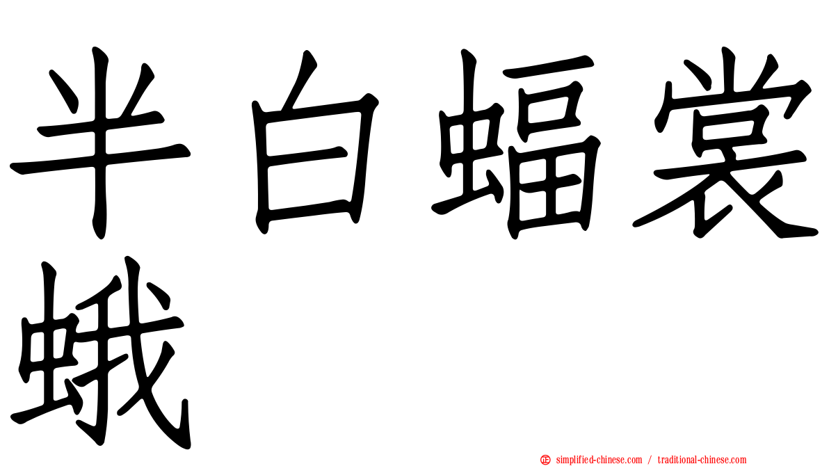 半白蝠裳蛾