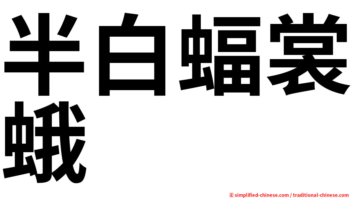 半白蝠裳蛾