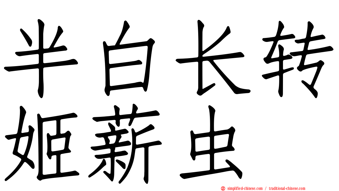 半白长转姬薪虫