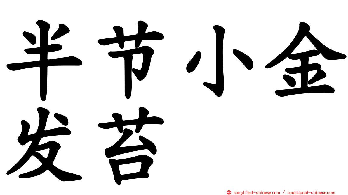 半节小金发苔