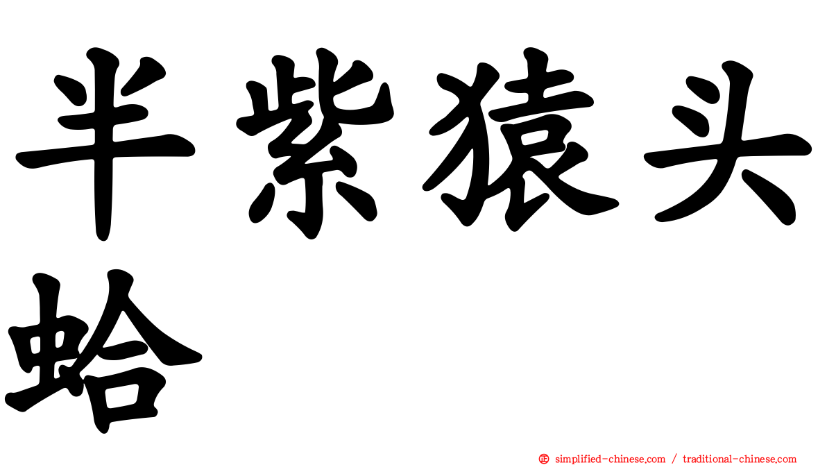半紫猿头蛤
