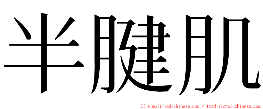 半腱肌 ming font