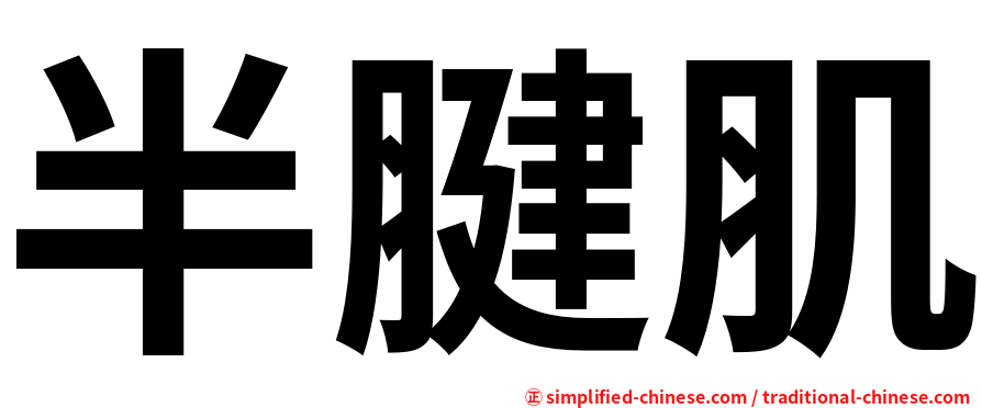 半腱肌