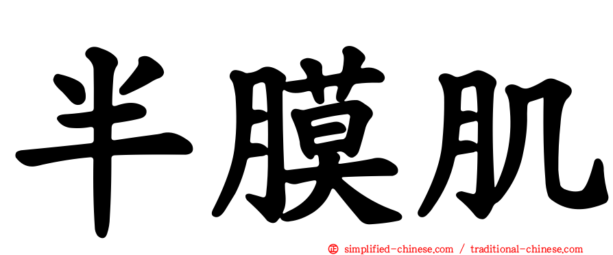 半膜肌
