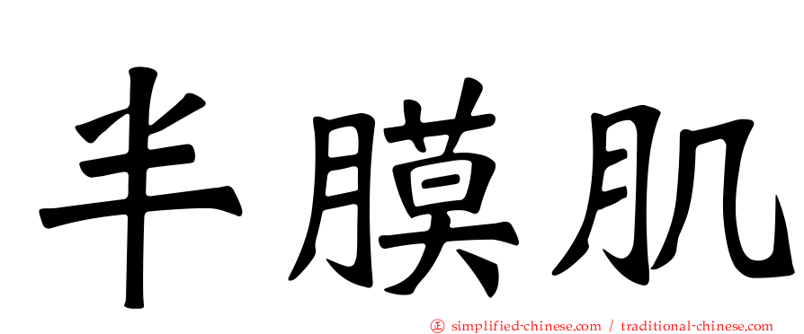 半膜肌