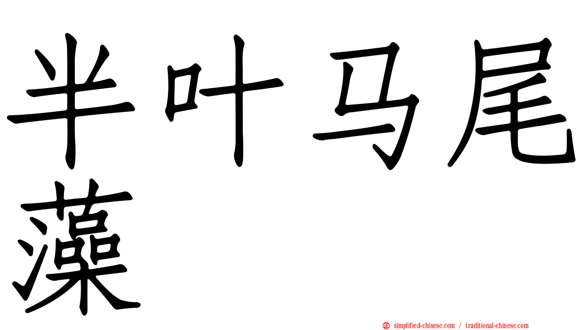 半叶马尾藻