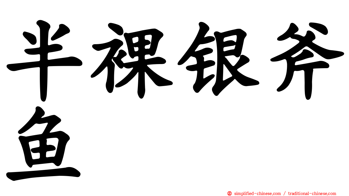 半裸银斧鱼