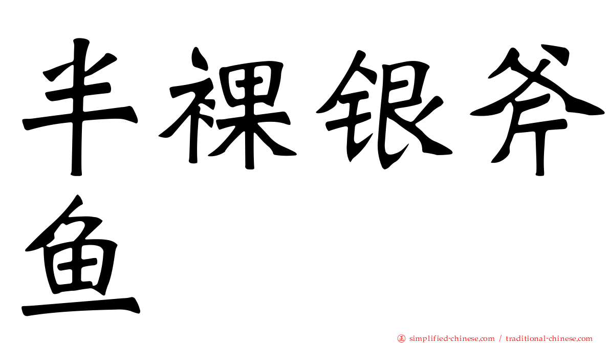 半裸银斧鱼