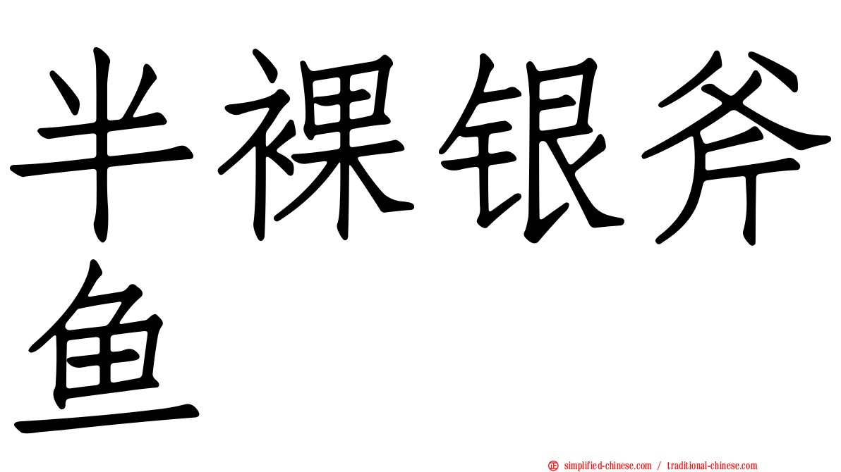 半裸银斧鱼