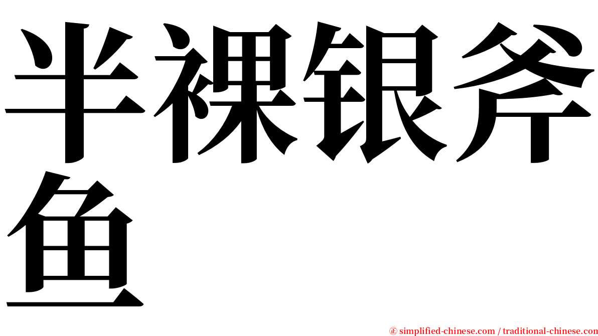 半裸银斧鱼 serif font