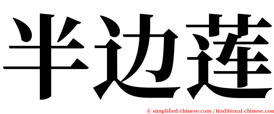 半边莲 serif font