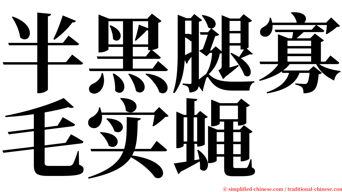 半黑腿寡毛实蝇 serif font