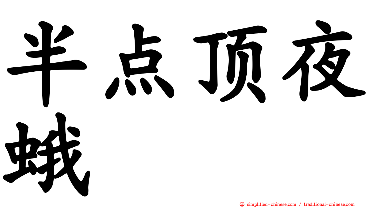 半点顶夜蛾
