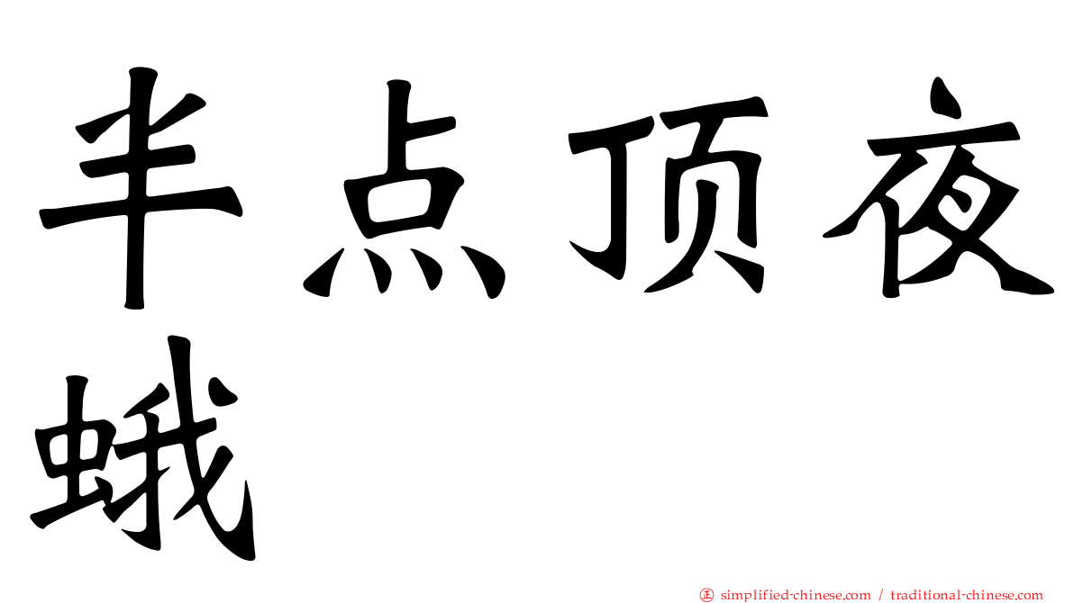半点顶夜蛾